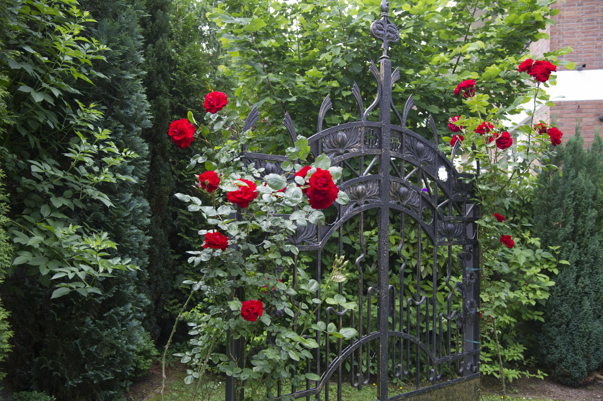 Boutiquehotel Dreesen - Villa Godesberg ボン エクステリア 写真