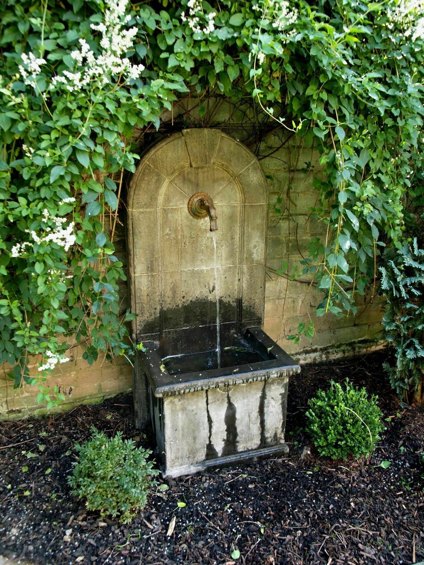 Boutiquehotel Dreesen - Villa Godesberg ボン エクステリア 写真